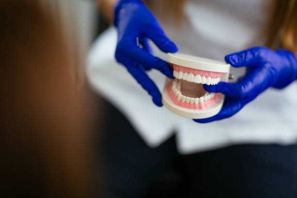  Herscher, IL Holistic Dental Care Services Pros